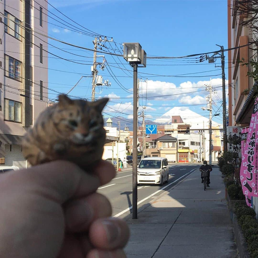 yamanekoのインスタグラム：「トト子、富士山が綺麗に見えるよ！ 大きいにゃー！ ＠weekendbooks  #weekendbooks #富士山 #富士山と猫 #どうして猫が好きかっていうとね2 #個展初日 #沼津 #三島 #ねこすたぐらむ #cat #catsofinstagram #彫刻 #猫彫刻 #猫彫り #sculpture  #バンナイリョウジ」