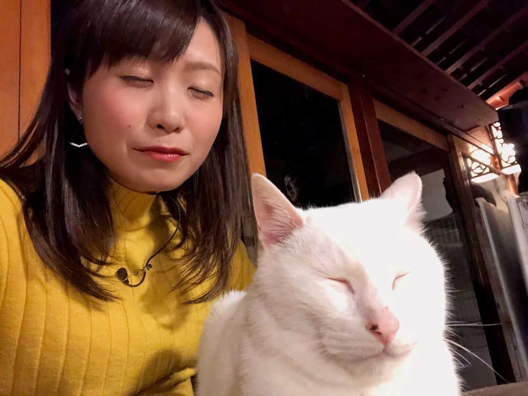 南條早紀のグルメインスタ