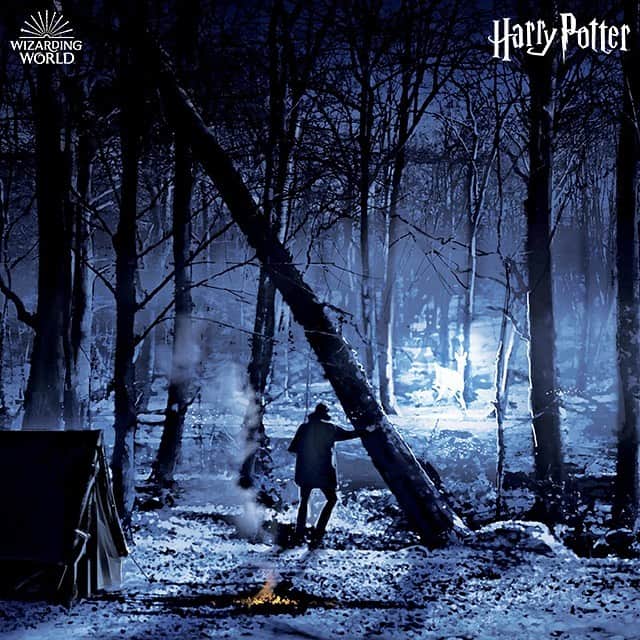 ハリー・ポッターさんのインスタグラム写真 - (ハリー・ポッターInstagram)「Let the power of happy thoughts guide you through dark times. [📖: The Art of Harry Potter, @HarperCollins]」2月2日 1時59分 - harrypotter