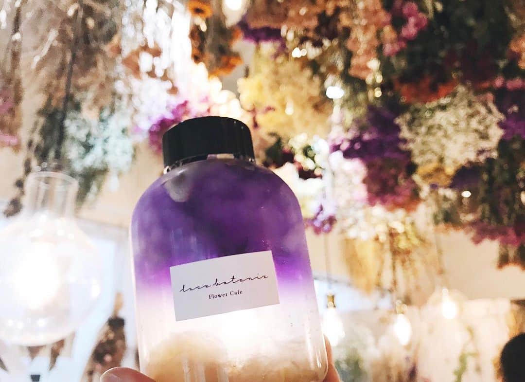 池田愛恵里のインスタグラム：「この前飲んだ綺麗な飲み物。 可愛いお花が沢山あって癒された！今日は早起きして、いまからすまたんのロケいってきますー！楽しみ☺️ #lucebotanix」