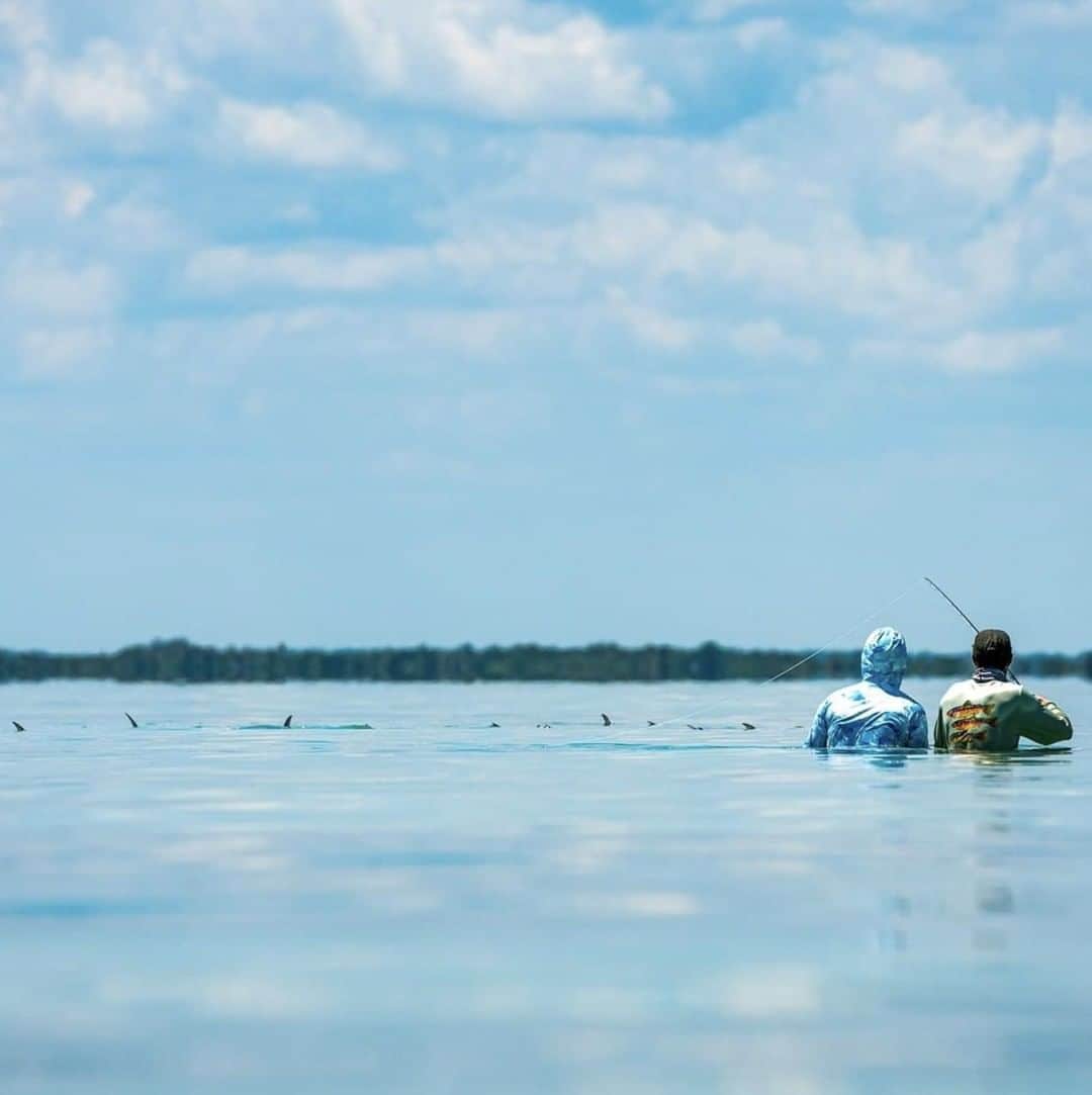 Costa Sunglassesのインスタグラム：「Make or break moment. 📷: @elpescadorlodge @bloodknots #SeeWhatsOutThere #BornOnTheWater」