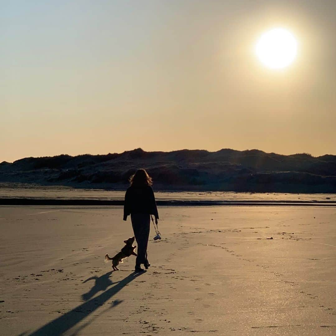 村上奈菜さんのインスタグラム写真 - (村上奈菜Instagram)「少しだけ自由にルゥを浜辺で走らせました☺️すっごく嬉しそうな姿が見れたから夏になったらまた海に連れてきたい🐶☀️ #チワックス #犬好き #いぬのいる暮らし」2月2日 19時00分 - murakami__nana