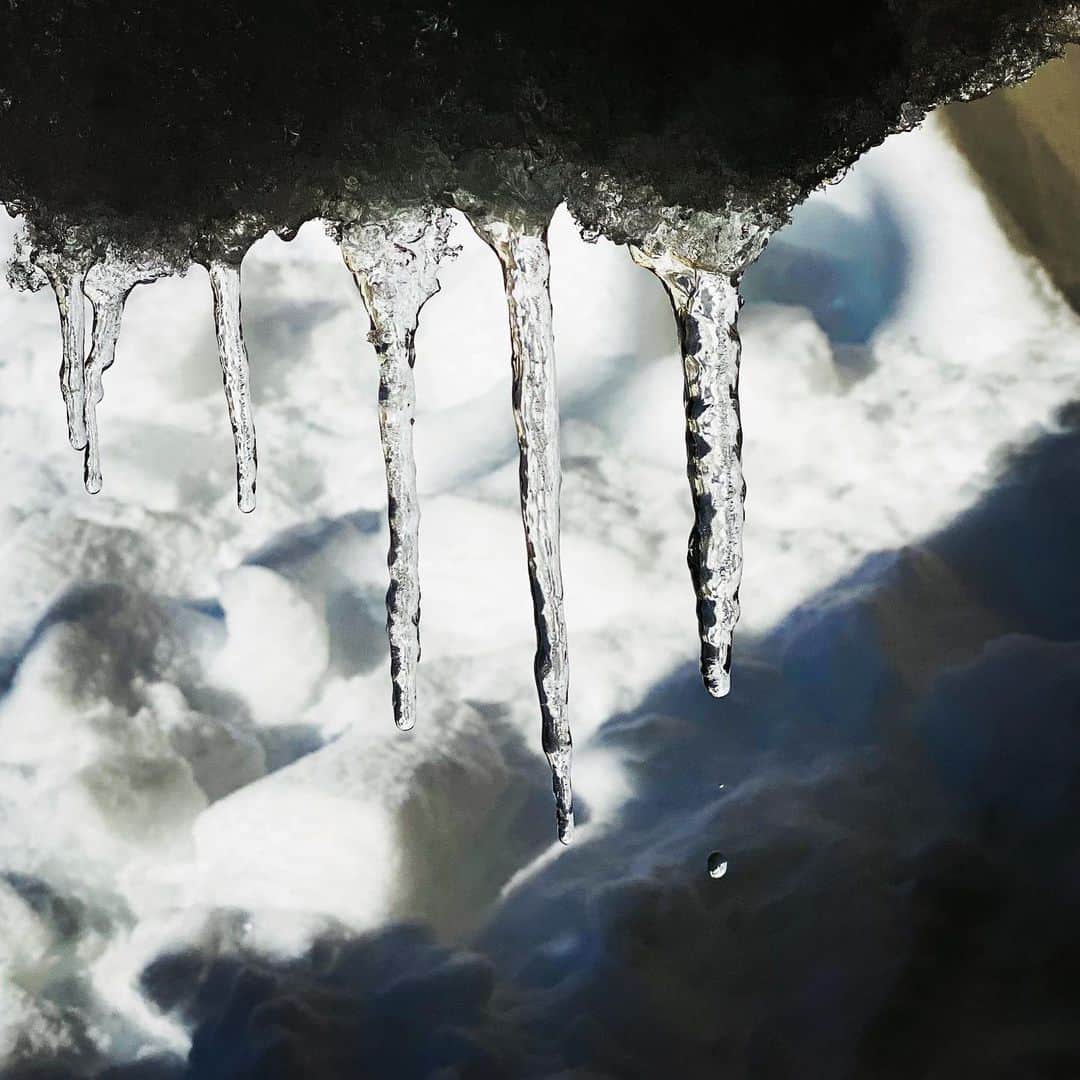 松村太郎のインスタグラム：「#つらら #Icicles #winter  in #Japan #ShotoniPhone」