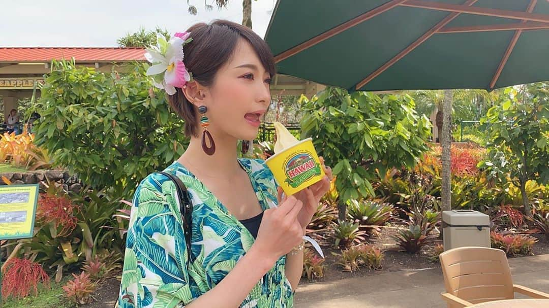 AYASAさんのインスタグラム写真 - (AYASAInstagram)「🍍 ぱいなぽアイスがそれはそれは濃厚で美味でありました🧡 . そしてぱいなぽ仕様の動物たちが可愛すぎた🐶🐻🍍 ・ ・ #doleplantation #doleplantationhawaii #pineapple #パイナップル #パイナポー #パイナップルアイス #hawaii #初ハワイ」2月2日 19時31分 - ayasa_doya