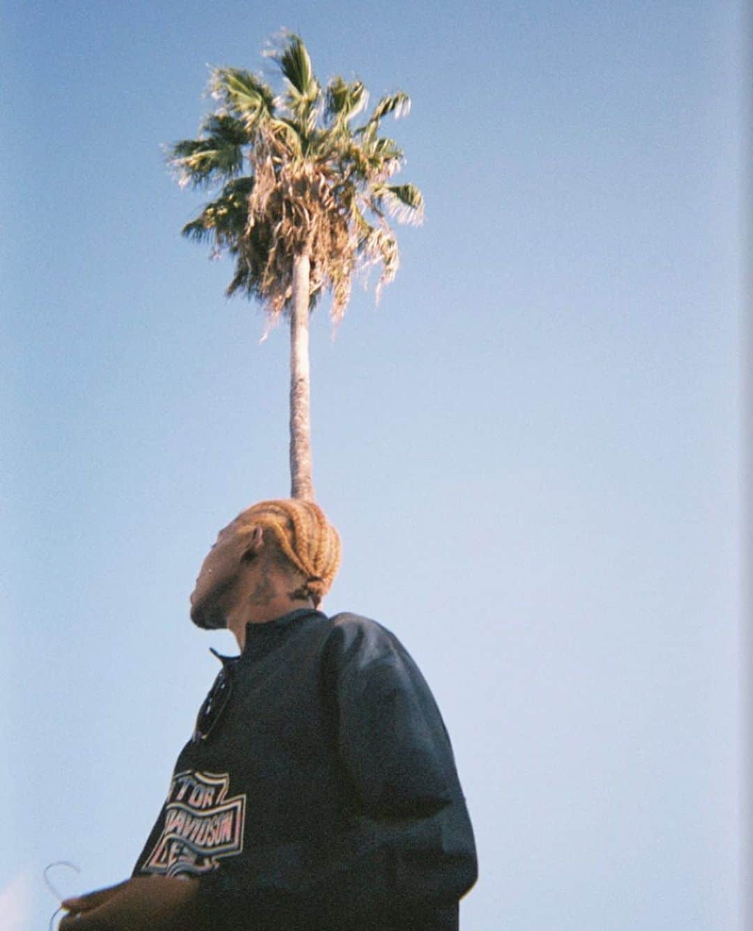 セオフィラス・ロンドンのインスタグラム：「Trinidad, California 2020© 🇹🇹📍」