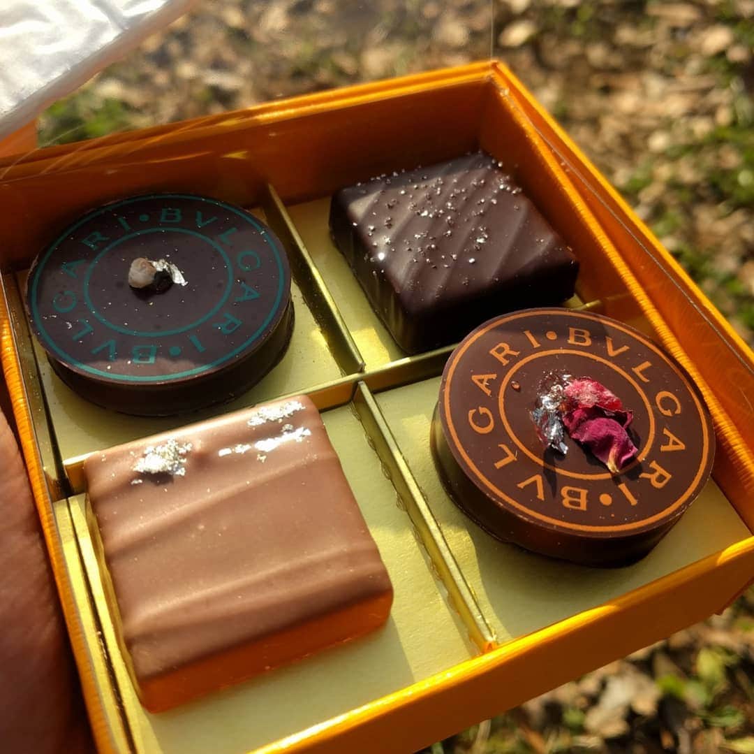 越中睦士さんのインスタグラム写真 - (越中睦士Instagram)「#BVLGARI #chocolate」2月2日 19時36分 - makotokoshinaka