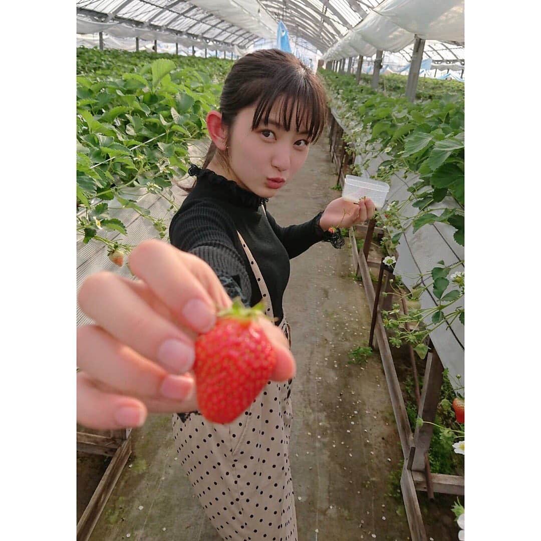 ばってん少女隊さんのインスタグラム写真 - (ばってん少女隊Instagram)「【#ちゃん瀬田からの投稿】  2020.02.02.  瀬田さくら18歳になりました!  #瀬田さくら #ちゃん瀬田 #誕生日 #2月2日 #ばってん少女隊 #ばっしょー #スタプラ #脱箱入り娘」2月2日 19時39分 - but_show.insta