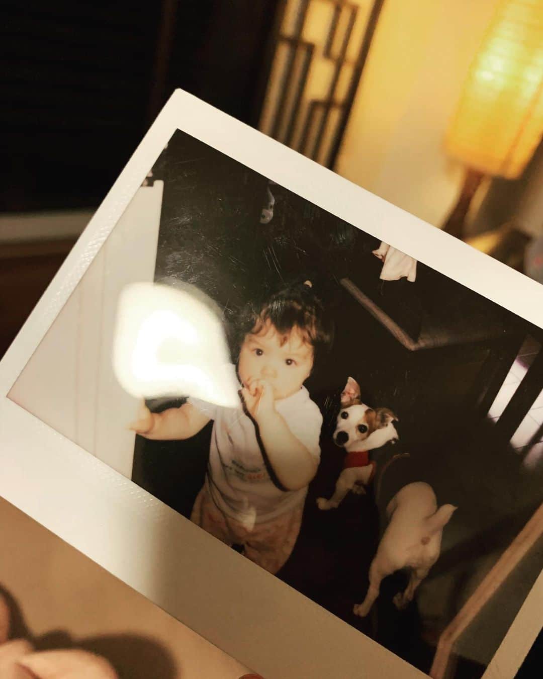 福原美穂さんのインスタグラム写真 - (福原美穂Instagram)「急に出てきた！😂 ベストフレンドな二人。  なつかしいなぁ、既に。 うちの娘ももうすぐ4歳か。  はやい。  #daughter #dog #almost4 #babymemory #timeflies #portrait #ポラロイド」2月2日 19時54分 - miho_fukuhara