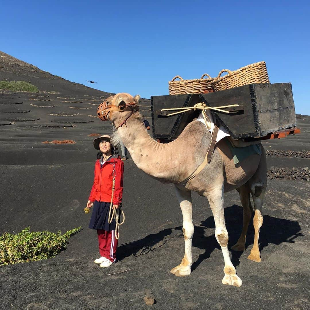 イモトアヤコのインスタグラム