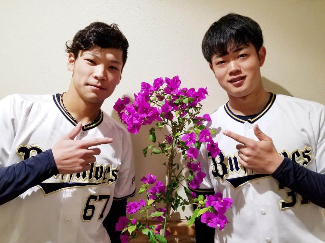 オリックス・バファローズさんのインスタグラム写真 - (オリックス・バファローズInstagram)「#中川圭太 #太田椋 #ブーゲンビリア #ブーゲンビリア贈呈 #宮崎ブーゲンビリア空港 #宮崎春季キャンプ #Bs春季キャンプ B@MZ B＠MZ/20 #Bs2020 #buffaloes #baseball #ORIX #プロ野球」2月2日 11時13分 - orix_buffaloes