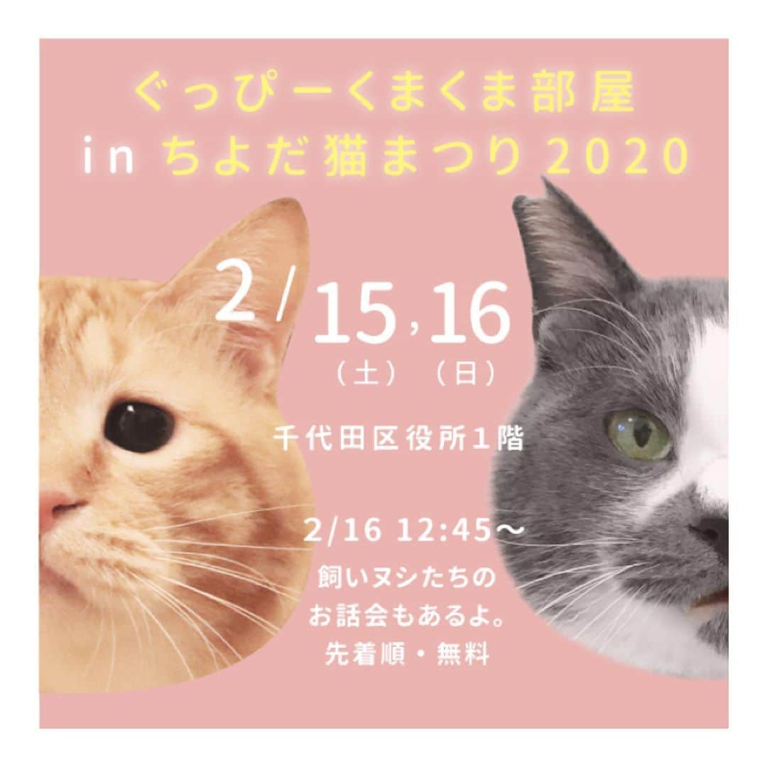 ぐっぴーさんのインスタグラム写真 - (ぐっぴーInstagram)「＊ 2月！！ 殺処分ゼロを９年連続で達成している「ちよだニャンとなる会」さま&千代田区が共同で開催するチャリティ猫イベント、「ちよだ猫まつり2020」に、くまお&こぐま兄妹（@kumaokamako）と「ぐっぴーくまくま部屋」のブースで参加させていただきます！ ・ イベント名：ちよだ猫まつり2020 ブース名：ぐっぴーくまくま部屋 日時：2月15日（土）11:00~18:00 　2月16日（日）10:00~17:00 場所：千代田区役所1階・4階 （地下鉄九段下駅6番出口） 入場料：無料 ・ 16日（日）12:45〜は「ぐ」＆「く」の母どものトークイベントも予定されております。 トークイベントも予約や費用は不要でご自由に見ていただけますので、お昼我慢できる方はぜひお越しください！ ・ 「ぐっぴーくまくま部屋」ブースには飼い主どもは2日間在店しております。 イベントでは、ライブ、体験コーナー、パネル展示などもあります！ ・ 保護猫を知って、楽しんで、癒される、素敵なイベントを作る一員になる貴重な機会をいただきました。 ぐっぴーたちをきっかけに、保護猫を選択してくれる人が増えてくれれば、そんな嬉しいことはないなぁと思っています。 ・ ご不明点があればコメントorDMくだぱいぱい。 ・ #ちよだ猫まつり2020 #ぐっぴーくまくま部屋 #ぐっぴーとくまおは自宅警備です」2月2日 11時16分 - gupitaro