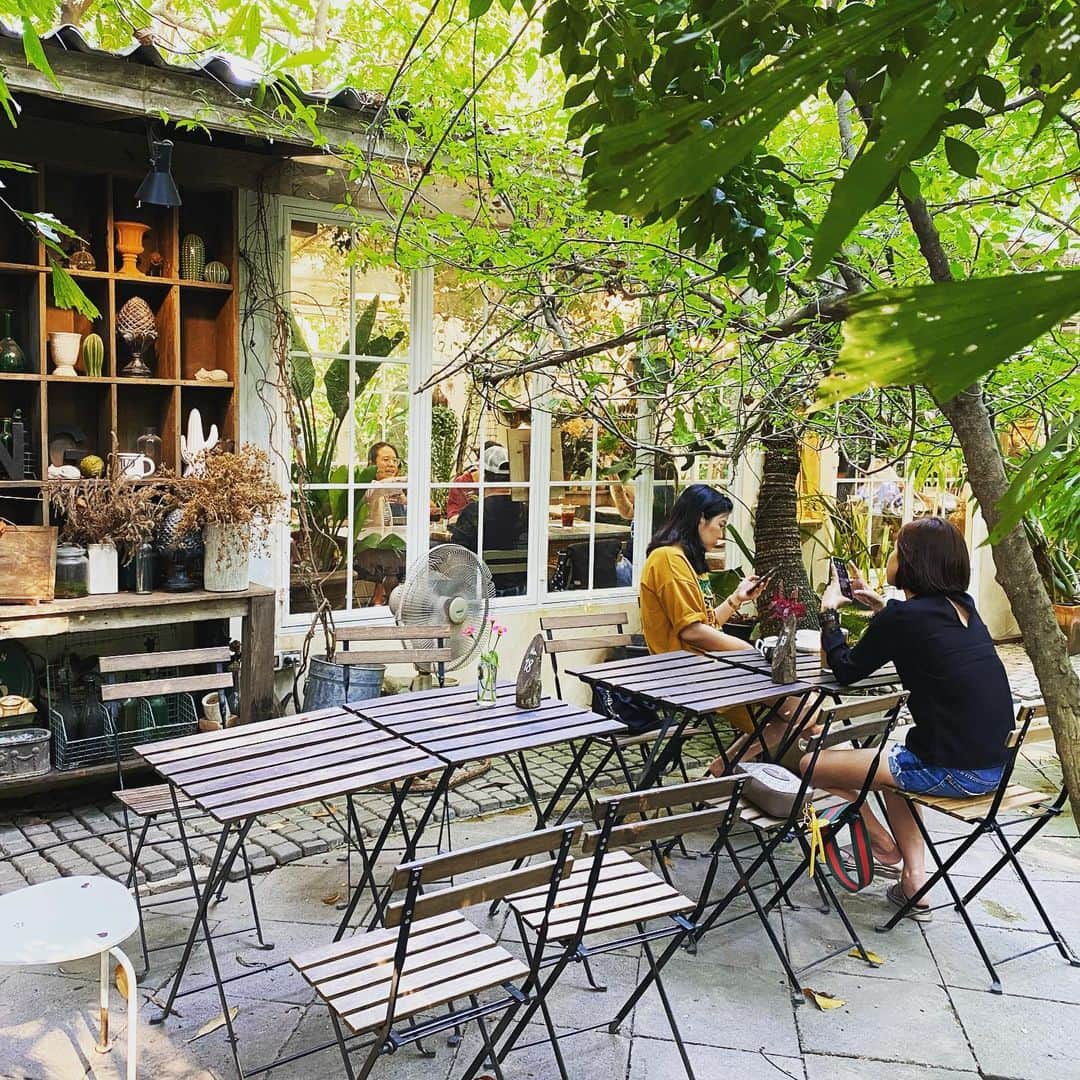 小林希さんのインスタグラム写真 - (小林希Instagram)「タイは年々、都市開発が進み、オシャレなカフェがたくさん増えています。﻿ 昨日行った、ナコーンパトムの森のカフェlittle tree は、地元のオシャレで女子たちがたくさん来ていました。﻿ バンコクからだと1時間くらいかな。﻿ ﻿ フレッシュな南国フルーツがのったワッフルプレート、美味しかった❣️﻿ ナコーンパトム地方を旅するなら、タクシーをチャーターしちゃって、ぐるっといろいろ回ってもらうとよいと思います。﻿ このカフェもぜひ寄ってみてね😘﻿ ﻿ Every year urban development has been progressing in THailand and trendy cafes increase more and more.﻿ when I went to Little Trees Thailand surrounded by woods in Nakhon Pathom yesterday,﻿ there were many local fashionable girls.﻿ It takes about one hour to go there from Bangkok.﻿ I ate a waffle plate with fresh tropical fruits on it.It's sooo delicious!﻿ If you travel in the Nakhon Pathom region,I recommend chartering a taxi to take you to famous places and this cafe 😘﻿ ﻿ ﻿ #drone#triplife#lovetravel#travelpic#nakhonpathom﻿ #travel#thailand #bangkok#thaiairwaysinternational#girlstrip#overseastrip#tripstagram#trippics #タイ国際航空 #本の取材#女子旅#海外旅行#週末海外#旅行好きな人と繋がりたい#ナコーンパトム#littletree」2月2日 11時51分 - nozokoneko