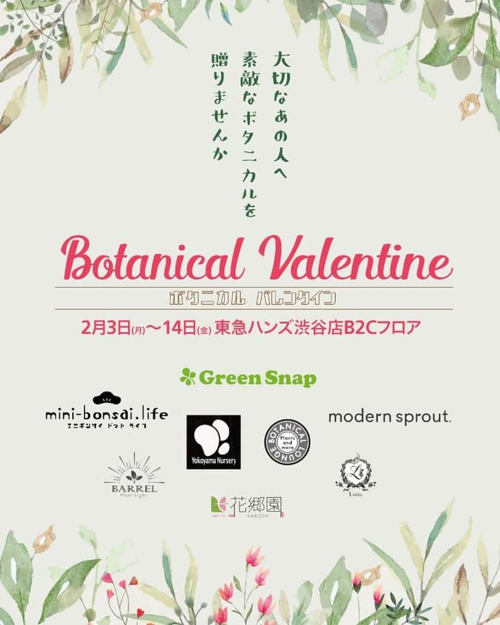 みどりで、つながる GreenSnapさんのインスタグラム写真 - (みどりで、つながる GreenSnapInstagram)「【GreenSnap オリジナル商品販売情報】  東急ハンズ渋谷店（B2Cフロア）で期間限定開催の『ボタニカルバレンタイン』で 一部GreenSnapのオリジナル商品が販売されます。  今年のバレンタインは『ボタニカル＝植物』のプレゼントはいかがでしょうか。 植物を育み、愛も育む。素敵だと思います。笑 『ボタニカルバレンタイン』開催期間 2020年2月3日(月)～2月14日(金)  期間中にはボタニカルワークショップも開催予定です。  詳細はこちらから https://shibuya.tokyu-hands.co.jp/item/b2c/sb-bv2020.html  #東急ハンズ #東急ハンズ渋谷店 #東急ハンズ渋谷店ワークショップ #ボタニカルワークショップ #バレンタイン #greensnap」2月2日 12時21分 - greensnap.jp