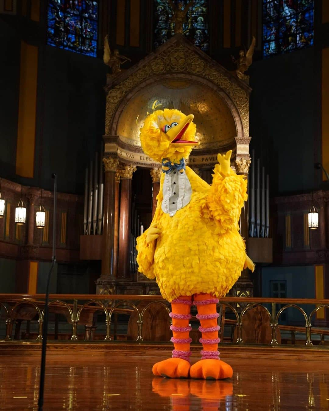 セサミストリートさんのインスタグラム写真 - (セサミストリートInstagram)「Today, friends and family gathered in New York City to honor our beloved Caroll Spinney. We are forever indebted to Caroll for the kindness, love and laughter he brought to Sesame Street.  We will miss him dearly. 💛💚」2月2日 12時30分 - sesamestreet