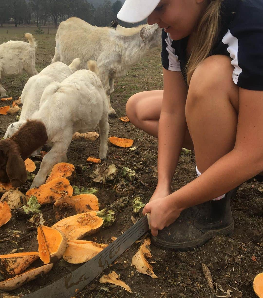 ケイティ・パスフィールドさんのインスタグラム写真 - (ケイティ・パスフィールドInstagram)「It has been a goat cuddling, tractor driving, pumpkin hacking week 🐐」2月2日 15時12分 - katiepasfield