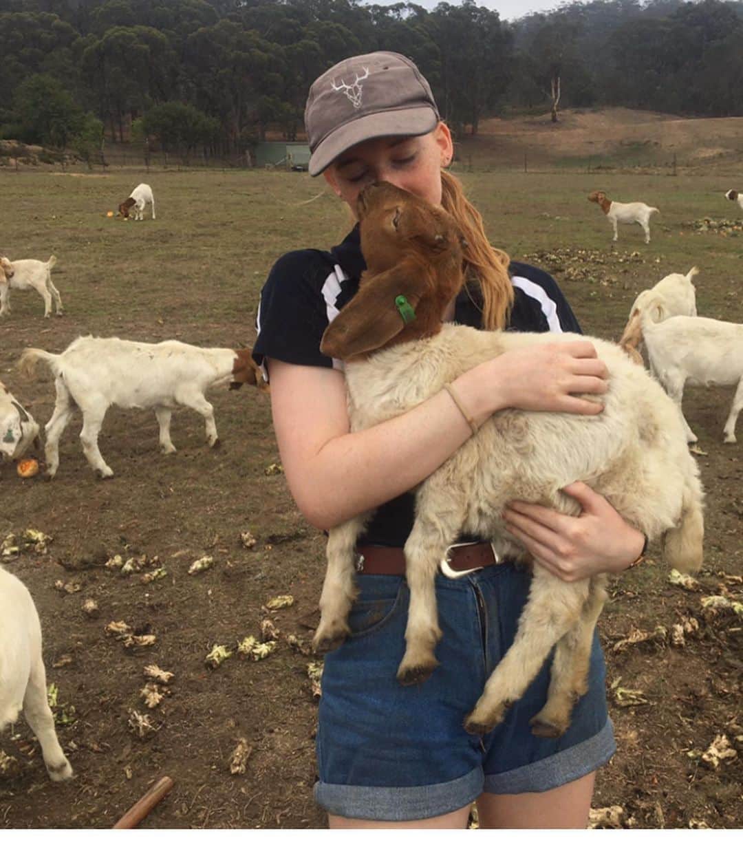 ケイティ・パスフィールドのインスタグラム：「It has been a goat cuddling, tractor driving, pumpkin hacking week 🐐」