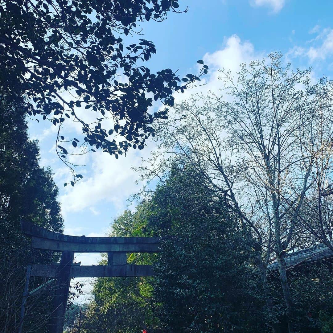 宙也さんのインスタグラム写真 - (宙也Instagram)「神社詣り。 #大豊神社 #狛ねずみ #狛巳」2月2日 15時41分 - chuya_aquarius