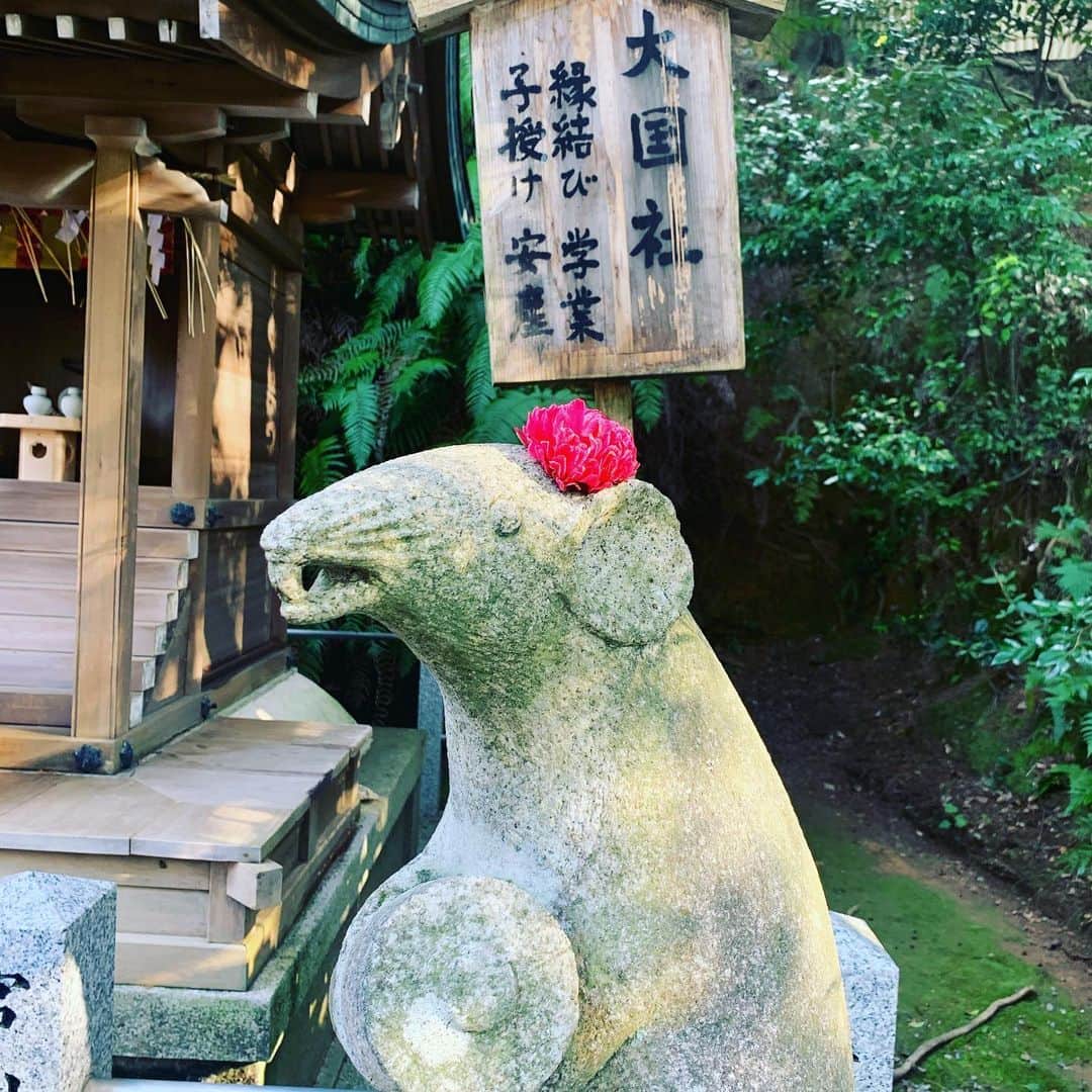 宙也さんのインスタグラム写真 - (宙也Instagram)「神社詣り。 #大豊神社 #狛ねずみ #狛巳」2月2日 15時41分 - chuya_aquarius