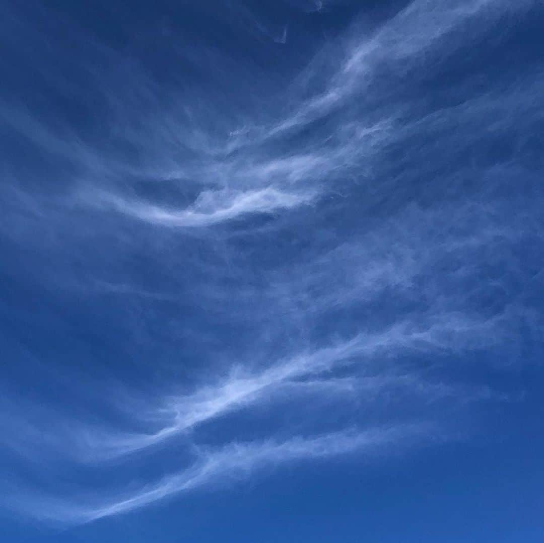 山神明理さんのインスタグラム写真 - (山神明理Instagram)「自転車日和でした🚴‍♀️ 肩からうどん雲。お腹空いたなぁ。 #巻雲」2月2日 15時43分 - akari_yamagami