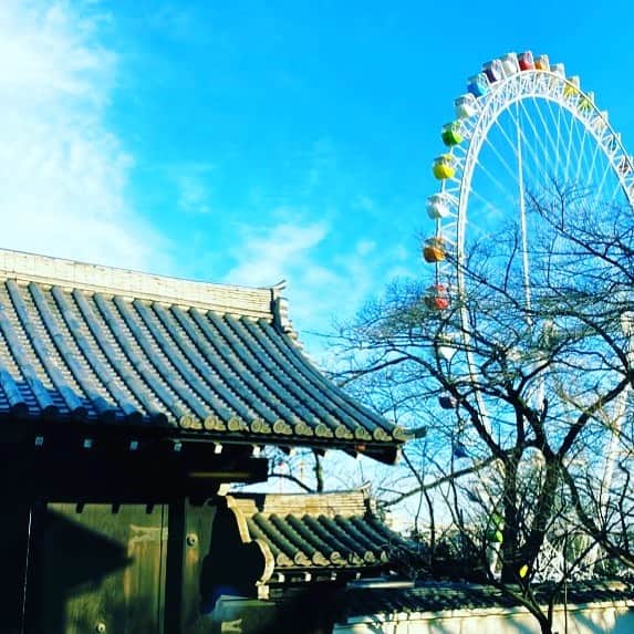 テレビ東京 ドラマ「サ道」のグルメインスタ