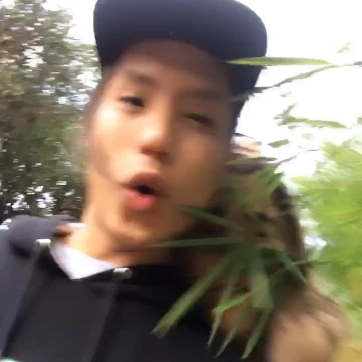 ローレン・ヤングのインスタグラム：「today in my life: I should stop being ggss and malandi when I’m walking around trees」