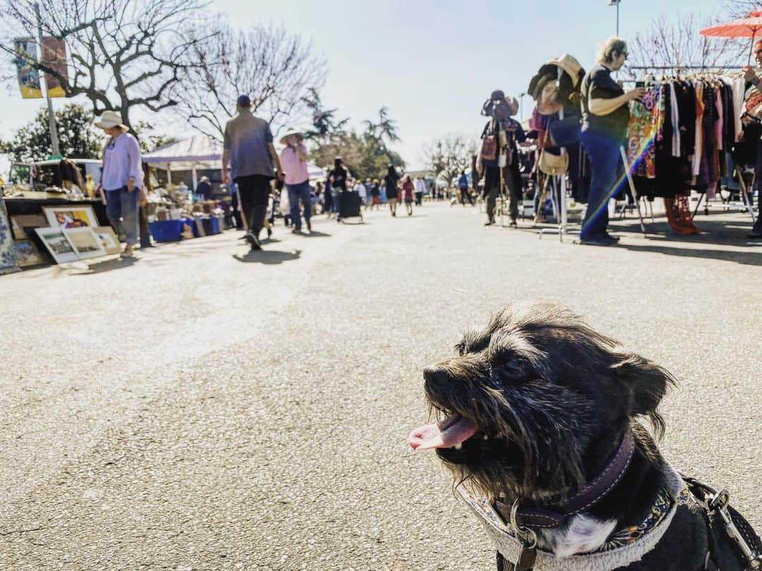 ルーカス・グラビールさんのインスタグラム写真 - (ルーカス・グラビールInstagram)「Let the thrifting begin! #sundayfleamarket with #Penny」2月3日 4時02分 - mrgrabeel