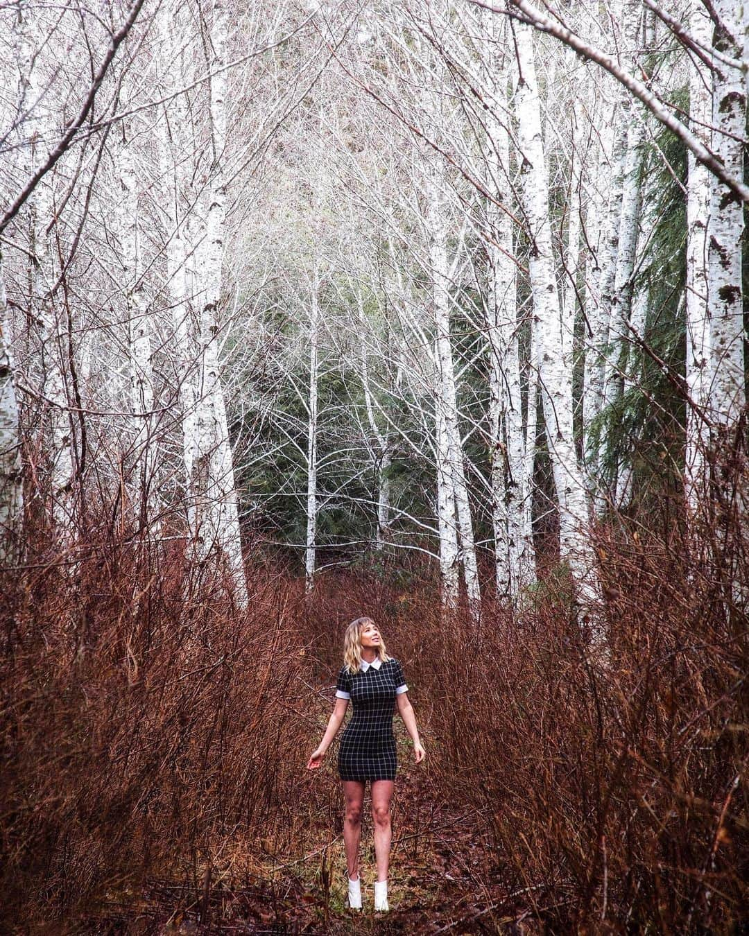 サラ・ジーン・アンダーウッドさんのインスタグラム写真 - (サラ・ジーン・アンダーウッドInstagram)「Cool alder forest. Even cooler @fashionnova dress 👗 fashionnovapartner . Dress “Any day of the week collared dress” . #novababe #ootd #washington #pnw」2月3日 4時10分 - saraunderwood