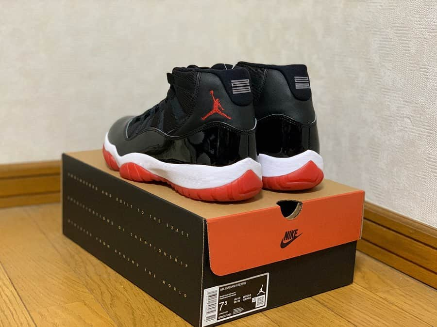 倉島大地さんのインスタグラム写真 - (倉島大地Instagram)「「AIR JORDAN 11 BRED」🏀🔥 ・ ・ ・ ゲットして投稿してなかったけど2019年はこれで納めてました😋 同い年のjordan11のbredは確実に持っておきたいと思いまして…。🤭 ・ ・ ・ 「好きな食べ物を答えるアンケート欄に個性を求めてあまり食べたことはないが"パニーニ"と書いてしまう男子学生」のような一足。 ・ ・ ・ #空想キックス」2月2日 21時26分 - kurapi1