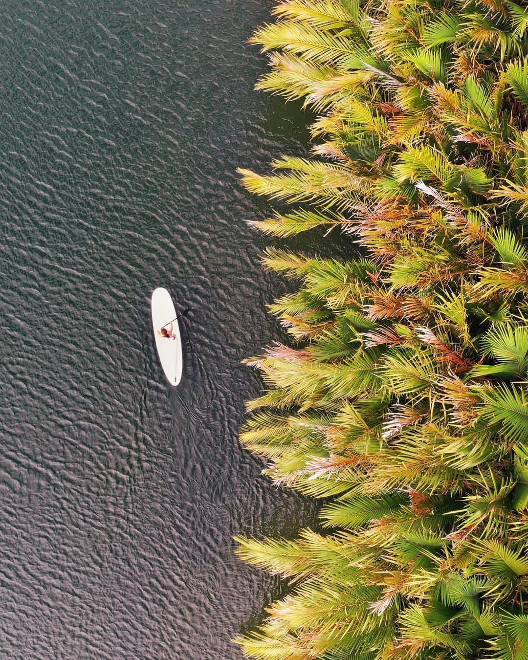 山中海輝さんのインスタグラム写真 - (山中海輝Instagram)「DAY5. @dji_japan  #Mavic2pro」2月2日 21時35分 - kaikiyamanaka