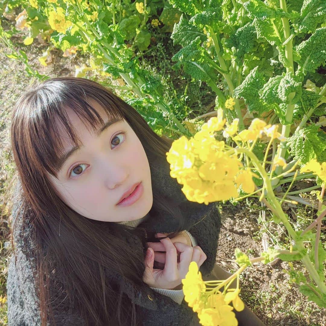 相川結さんのインスタグラム写真 - (相川結Instagram)「黄色いお花。」2月2日 21時36分 - yu__nyan16