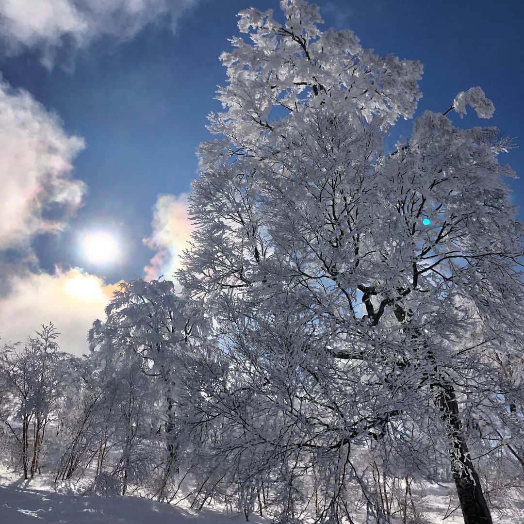 脇阪寿一さんのインスタグラム写真 - (脇阪寿一Instagram)「今週は野沢温泉  #snowboard #snowboarding #スノーボード #野沢温泉スキー場 #野沢温泉」2月2日 21時48分 - juichiwakisaka