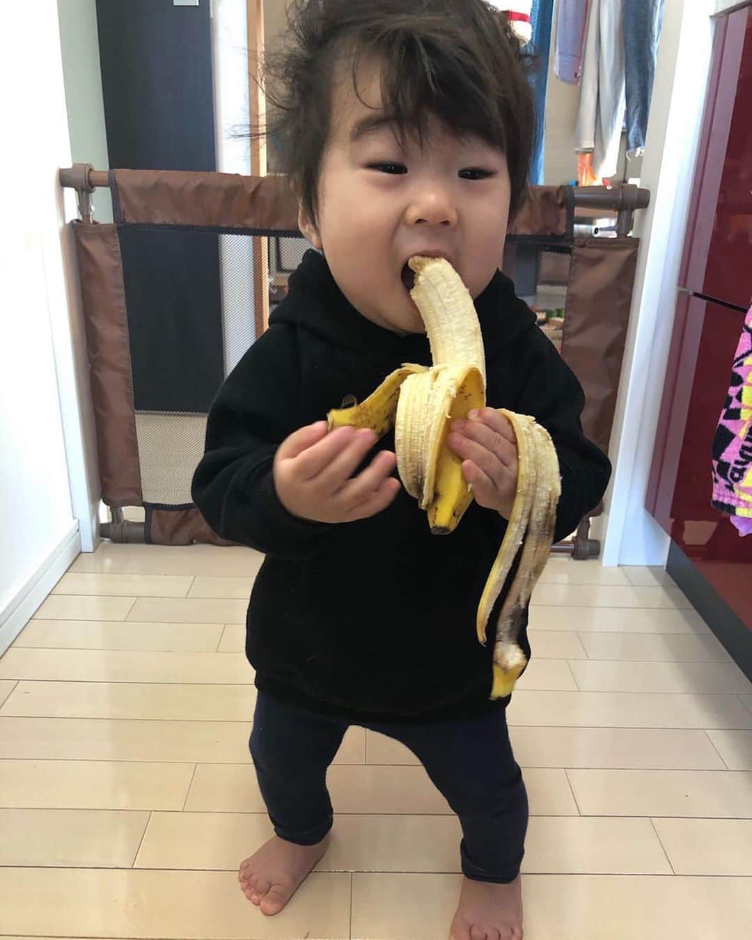 コドモノ！写真部さんのインスタグラム写真 - (コドモノ！写真部Instagram)「🕊💕 今回ご紹介するのは @shunpeipei1129 さんの投稿です。 . ▽ バナナ🍌大好きバナ男くん。 △ . ただただ、バナナを食べる姿の連写😆 かわいいです💕 . @shunpeipei1129 さん「#コドモノ」のハッシュタグ付けありがとうございました。 . お子様のカワイイ姿、面白い瞬間、なんとも言えない表情などなど毎日募集中！@kodomono_photoをフォローの上、#コドモノ をつけて投稿してください💕 素敵な写真や動画はコドモノ！写真部がフィーチャーさせていただきます。 . 🍼画像や動画は投稿者様に許諾を得てコドモノ！写真部に掲載しています。ご本人以外の無断転載はお控えください。 . ▼▽▼投稿毎日募集中▼▽▼ . #1歳2ヶ月 #1y2m #1歳 #1歳児 #1歳男児 #男の子 #こどものいる暮らし #親バカ部 #面白い #かわいい #バナナ #🍌」2月2日 21時54分 - kodomono_photo
