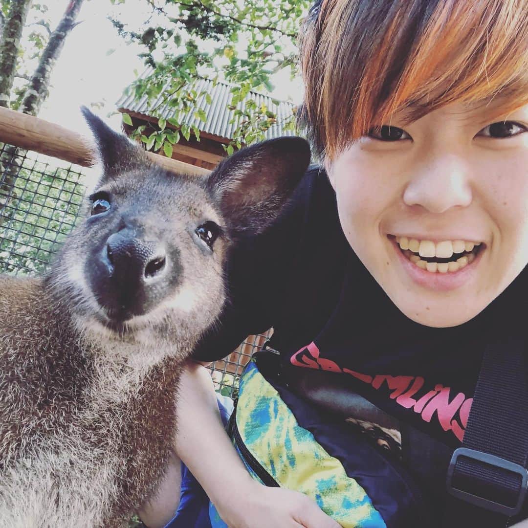 小野崎玲皇のインスタグラム：「この動物はなんだろな🦁」