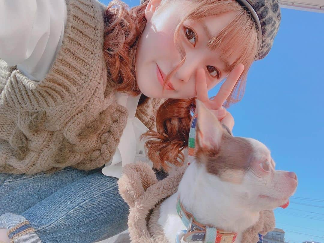 平野友里（ゆり丸）さんのインスタグラム写真 - (平野友里（ゆり丸）Instagram)「🐶 愛犬のピヨちゃん🍪🤍 かわいいかわいいピヨ丸🐥 くまちゃんのお洋服が似合い すぎて可愛すぎて涙ちょちょぎれおばさんだよ🥺💓 ・ ・ ・  ピヨはおっとりさんで、 すっごく甘えんぼさんで 本当にやさしい子なの🤍 噛まれたことない☺️ 宝物ちゃん✨ ・ ・ ・ ・  #愛犬　#愛犬との暮らし #愛犬とお出かけ #愛犬家 #愛犬🐶 #スムチー　#スムースチワワ #スムースコートチワワ #チワワ　#チワワ大好き #チワワのいる暮らし #チワワ部#チワワちゃん #チワワ服 #チワワlove #インスタ映え　#フォトジェニック　#かわいい　#宝物」2月2日 23時03分 - yurimaruchan___