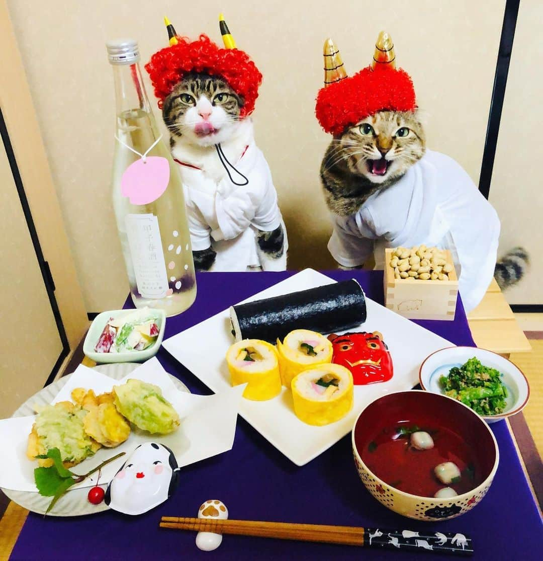 マロさんのインスタグラム写真 - (マロInstagram)「👹節分👹　　SWIPE▶️ February 3rd is the day of Setsubun. The literal meaning of the word Setsubun is “division of the seasons". Setsubun is the event held to pray for our happy and healthy life. On that day, we throw away beans with saying "Devils out! Happiness in! And people eat beans as numbers as their age. Also we eat "Ehoumaki" that is thick sushi roll. It is regarded as good thing to eat Ehoumaki in Setsubun. When we eat it, we must face the year's lucky direction without speaking. ☆ いつもコメントありがとうございます😺🙏💕 返信出来なくてすみません🙇‍♀️ 全て拝見しています🐾 ☆ Thank you for your kind comments😸🙏💕 I'm sorry that I couldn't reply. ☆ #cat#cats#catsofinstagram#😻 #japaneseculture#sushi#sake #にゃんすたぐらむ#ねこ#ネコ#猫 #ねこ部#ふわもこ部#節分#日本酒 #恵方巻き#節分ごはん#豆まき #鬼は外福は内#猫のいる暮らし  #斉藤和義#カーリングシトーンズ」2月3日 0時17分 - rinne172