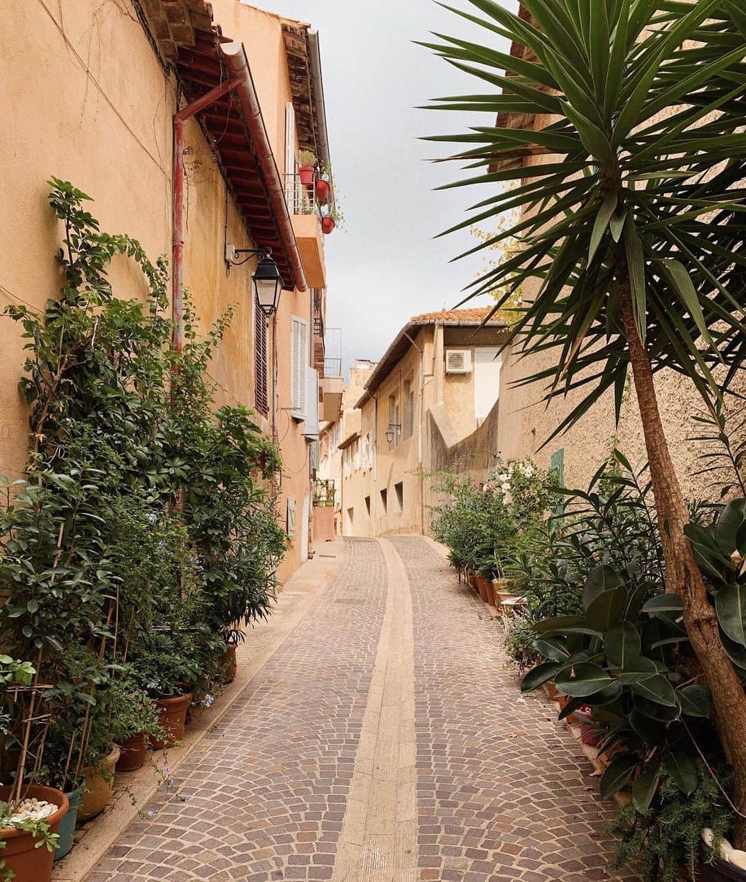 ダニエル・パナベイカーのインスタグラム：「Travelling the road less travelled」