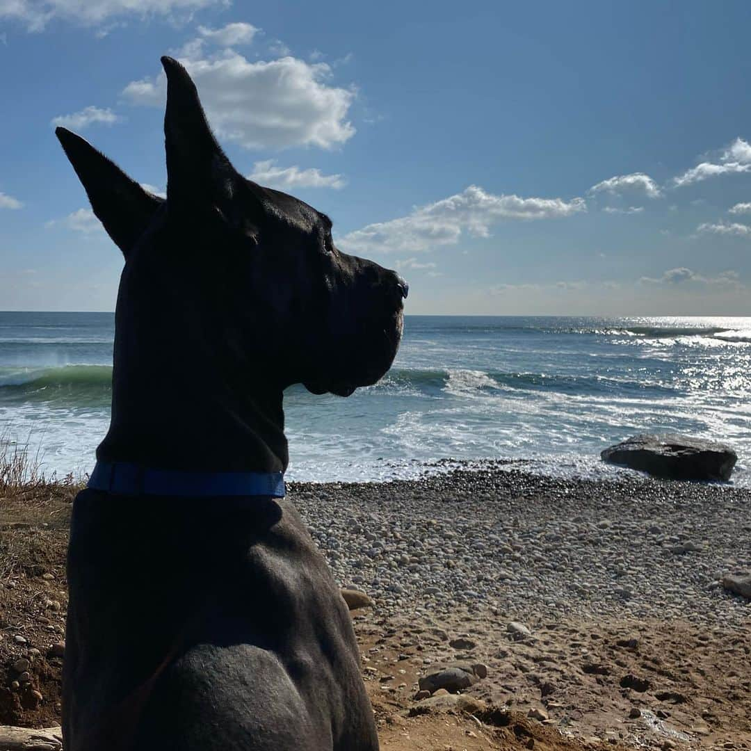 スティーヴン・クラインさんのインスタグラム写真 - (スティーヴン・クラインInstagram)「Taking the view.... surfers at Montauk @eio_prince」2月3日 2時05分 - stevenkleinstudio