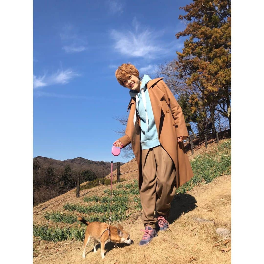 如月蓮さんのインスタグラム写真 - (如月蓮Instagram)「.﻿ 紅ing‼︎﻿ 卒業して間もない私にとっては、現役のままのかんじかなぁと思っていた。﻿ お稽古を終えた今感じる事は、むしろ逆。﻿ 先輩OGの方々は、すでに新しい道を進んでいる表現力がとっても魅力的だし、さゆみさんは退団同期♡とは思えないほど進化しているっ！！！﻿ 竜平(小南竜平さん)と師匠(田極翼さん)が、宝塚曲で爆踊りしてるのも相当面白い。そして悔しいくらいかっこいい。私が負けじと男役魂メラメラで張り合おうとしているのを、みんな温かく見守ってくれている。笑﻿ .﻿ 梅田芸術劇場では、さゆみさんの思い入れのある曲で師匠と踊らせて頂きます。﻿ 師匠にはダンスの基本的な事やコツなど、沢山教えてもらいました。﻿ すでに緊張して死にそうですが、さゆみさんと師匠との空間を大切に頑張りたいと思います！！﻿ .﻿ 紅5★﻿ “フリーダムにランダムに”その通り、なかなか5人揃わない！笑﻿ そんな時は、いつも誰かがアレを動かし、“紅5”でいさせてくれる事に本当に感謝です。﻿ グリーン、元気かなぁ。もうすぐ初日だね。﻿ 兄達は更にパワーアップして眩しいくらいだよ。﻿ れんれんは、キラキラした兄達と、星組でがんばるてんてんと“紅5”でいれて本当に幸せだよ。﻿ .﻿ それでは皆さん！﻿ 紅ingで熱くなり、世の中のウイルスをはじき返しましょう！！﻿ 皆様と盛り上がれる時を、楽しみにしております☆﻿ .﻿ .﻿ .﻿ #こむぎに癒されパワーチャージ﻿ #ウイルス去れ！﻿ #気分は気から！！(←グリーン名言)﻿ #でもマスクはしよう。笑﻿ #紅ing‼︎﻿ #紅ゆずる　さん﻿ #あいらぶ同期﻿ #みんな愛してるぜ﻿ #如月蓮﻿ #RENスタグラム」2月3日 13時12分 - kisaragi.ren2