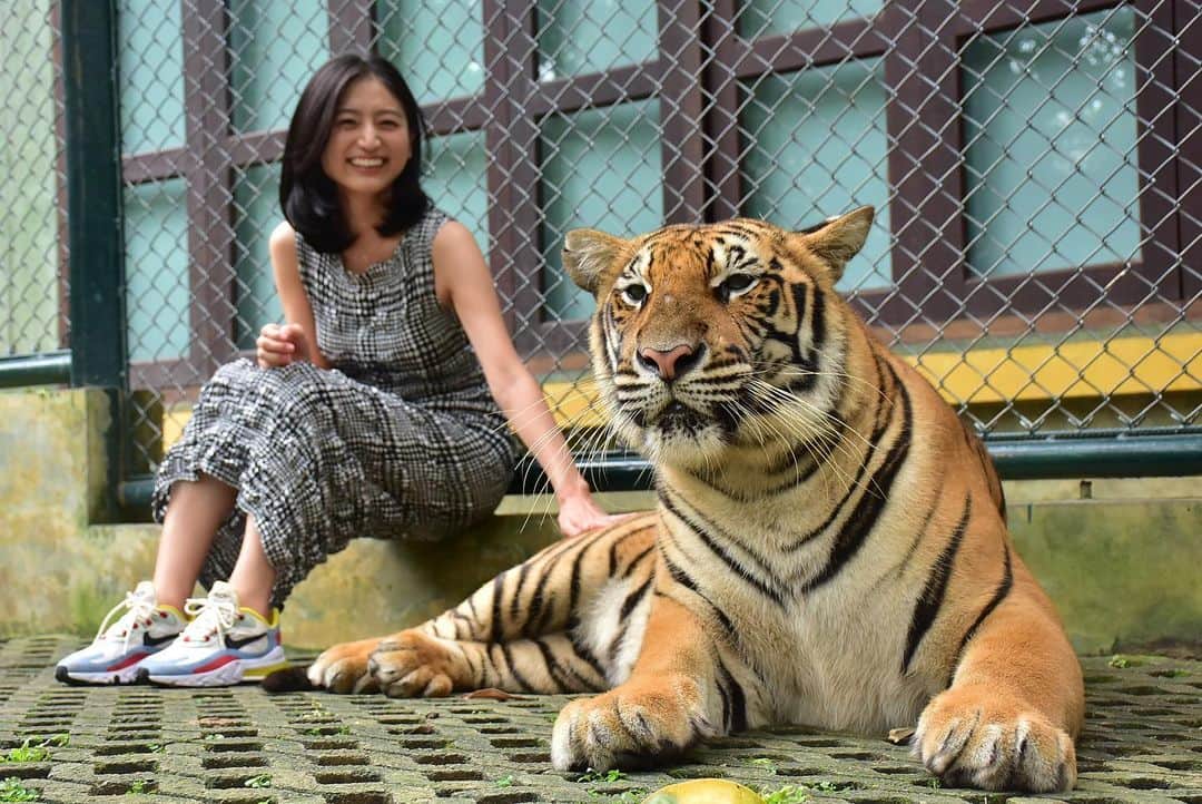 上野優花のインスタグラム