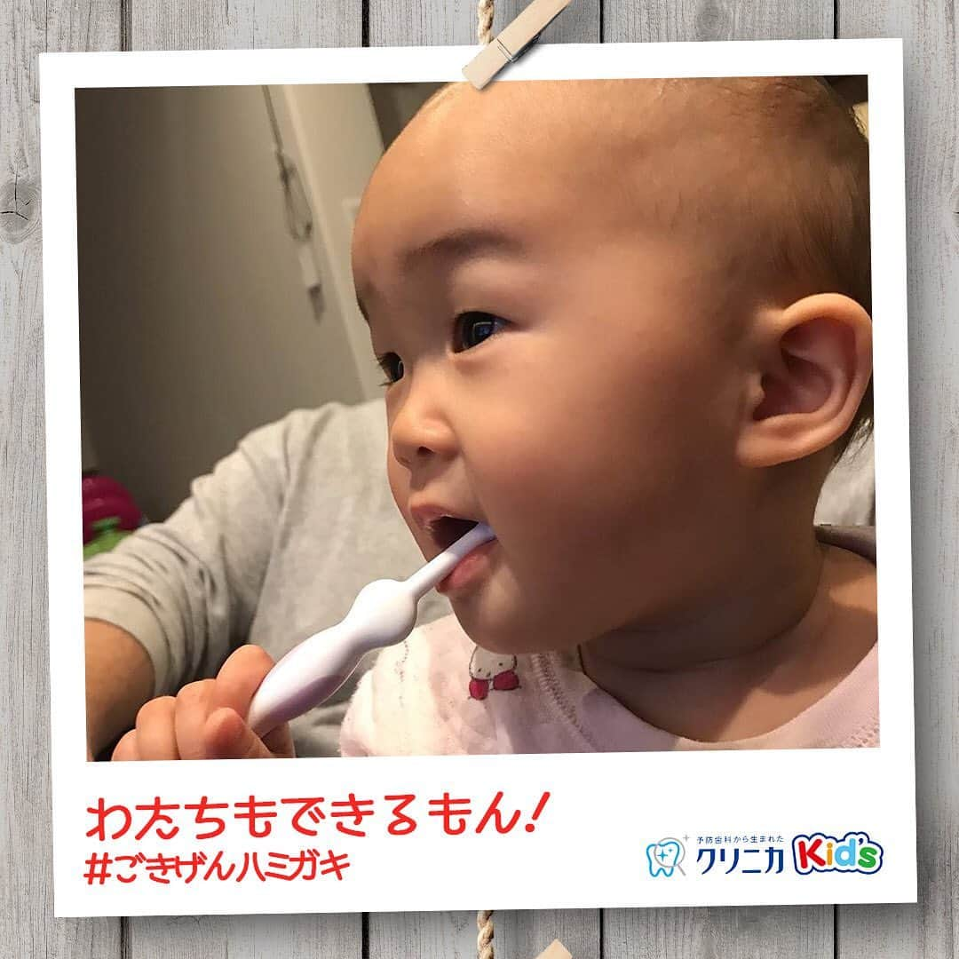 クリニカではじめよう予防歯科さんのインスタグラム写真 - (クリニカではじめよう予防歯科Instagram)「今日の#ごきげんハミガキ♪﻿ ﻿ 皆さんこんにちは♪﻿ 今日は @okkhr319 さんの#ごきげんハミガキ です！﻿ ﻿ 1歳になる前からハブラシで自分でみがく練習❤️﻿ ﻿ お母さんがいつもやっている歯みがきを、見よう見まねでやっています☺﻿ ﻿ 「わたち、やればできるよー」と言わんばかりに堂々としっかりみがいていますね✨﻿ 最後はお母さんに仕上げ歯みがきをしてもらって、歯もピッカピカになったかな？﻿ ﻿ ----------------------﻿ #ごきげんハミガキ の投稿を募集中！﻿ クリニカKid’s公式アカウントでご紹介させていただきます♪﻿ ----------------------﻿ ﻿ #クリニカ #クリニカキッズ #歯磨き #歯みがき #はみがき #ハミガキ #歯みがきタイム #歯磨き中 #歯みがき習慣 #育児 #育児日記 #育児記録 #子育て #子育て記録 #女の子ママ #子供の成長 #成長記録 #成長 #ママライフ #親バカ部 #親バカ日記 #子供のいる暮らし #ママカメラ #仕上げみがき #0歳からの歯みがき #仕上げはお母さん #ママの毎日」2月3日 13時48分 - lion_clinica