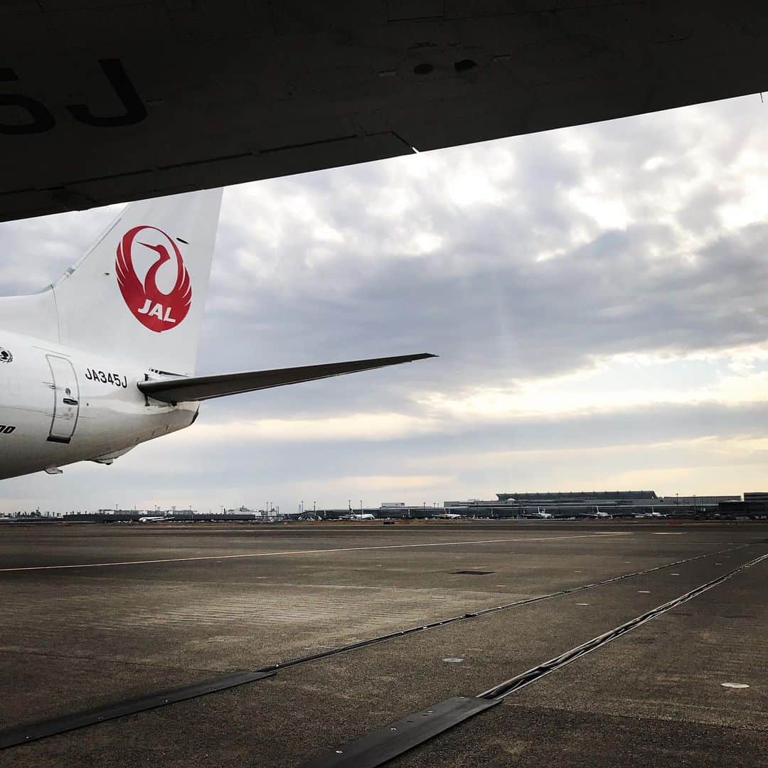 北山陽一のインスタグラム：「空港ってすげえなあ」