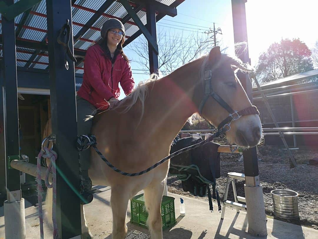 佐藤藍子さんのインスタグラム写真 - (佐藤藍子Instagram)「皆様、お久しぶりです🍀  先日、久しぶりにポカポカ日和だったので 息子ぽっきゅん🐴と、のんびーり陽射しを堪能しました🌞  やはり、生き物は、太陽の恵み無しでは生きられませんね  身体も心も、フンワーリ癒されます🍀  まして、溺愛する息子🐴と一緒なら尚更w  今年は、花粉、、早めの飛散なのかなあっっ  もう少し、マスクいらない生活を堪能させて下さいっっ😆  #haflinger #dressagehaflinger #pony #dressagepony #horse #馬#ポニー#ドレッサージュポニー #ハフリンガー#ドレッサージュハフリンガー #aikosato #佐藤藍子」2月3日 14時27分 - sato_aiko_official