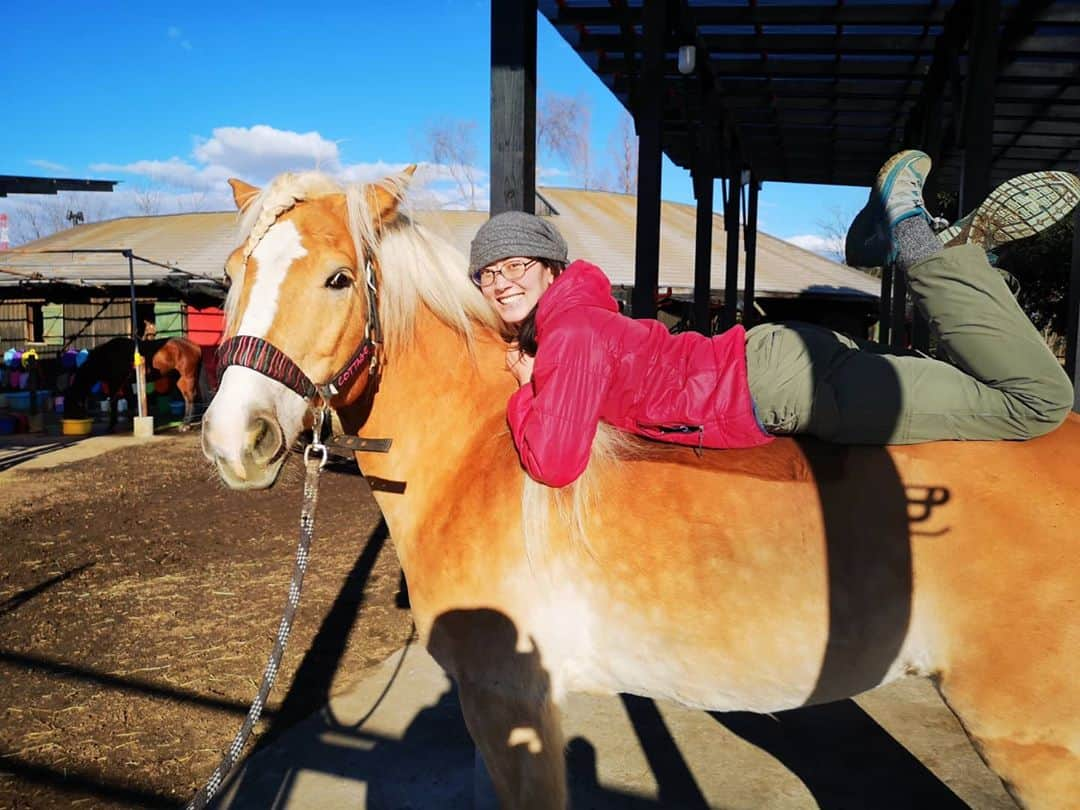 佐藤藍子さんのインスタグラム写真 - (佐藤藍子Instagram)「皆様、お久しぶりです🍀  先日、久しぶりにポカポカ日和だったので 息子ぽっきゅん🐴と、のんびーり陽射しを堪能しました🌞  やはり、生き物は、太陽の恵み無しでは生きられませんね  身体も心も、フンワーリ癒されます🍀  まして、溺愛する息子🐴と一緒なら尚更w  今年は、花粉、、早めの飛散なのかなあっっ  もう少し、マスクいらない生活を堪能させて下さいっっ😆  #haflinger #dressagehaflinger #pony #dressagepony #horse #馬#ポニー#ドレッサージュポニー #ハフリンガー#ドレッサージュハフリンガー #aikosato #佐藤藍子」2月3日 14時27分 - sato_aiko_official