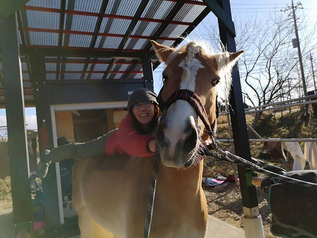 佐藤藍子さんのインスタグラム写真 - (佐藤藍子Instagram)「皆様、お久しぶりです🍀  先日、久しぶりにポカポカ日和だったので 息子ぽっきゅん🐴と、のんびーり陽射しを堪能しました🌞  やはり、生き物は、太陽の恵み無しでは生きられませんね  身体も心も、フンワーリ癒されます🍀  まして、溺愛する息子🐴と一緒なら尚更w  今年は、花粉、、早めの飛散なのかなあっっ  もう少し、マスクいらない生活を堪能させて下さいっっ😆  #haflinger #dressagehaflinger #pony #dressagepony #horse #馬#ポニー#ドレッサージュポニー #ハフリンガー#ドレッサージュハフリンガー #aikosato #佐藤藍子」2月3日 14時27分 - sato_aiko_official