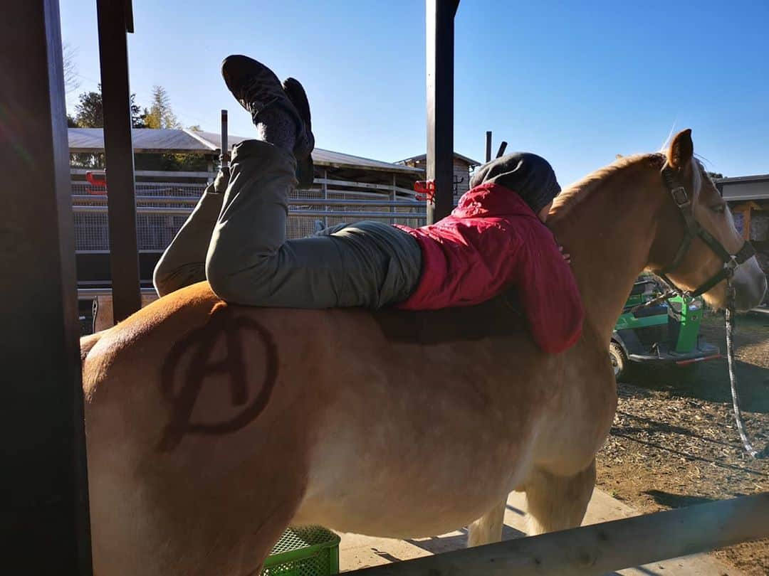 佐藤藍子さんのインスタグラム写真 - (佐藤藍子Instagram)「皆様、お久しぶりです🍀  先日、久しぶりにポカポカ日和だったので 息子ぽっきゅん🐴と、のんびーり陽射しを堪能しました🌞  やはり、生き物は、太陽の恵み無しでは生きられませんね  身体も心も、フンワーリ癒されます🍀  まして、溺愛する息子🐴と一緒なら尚更w  今年は、花粉、、早めの飛散なのかなあっっ  もう少し、マスクいらない生活を堪能させて下さいっっ😆  #haflinger #dressagehaflinger #pony #dressagepony #horse #馬#ポニー#ドレッサージュポニー #ハフリンガー#ドレッサージュハフリンガー #aikosato #佐藤藍子」2月3日 14時27分 - sato_aiko_official