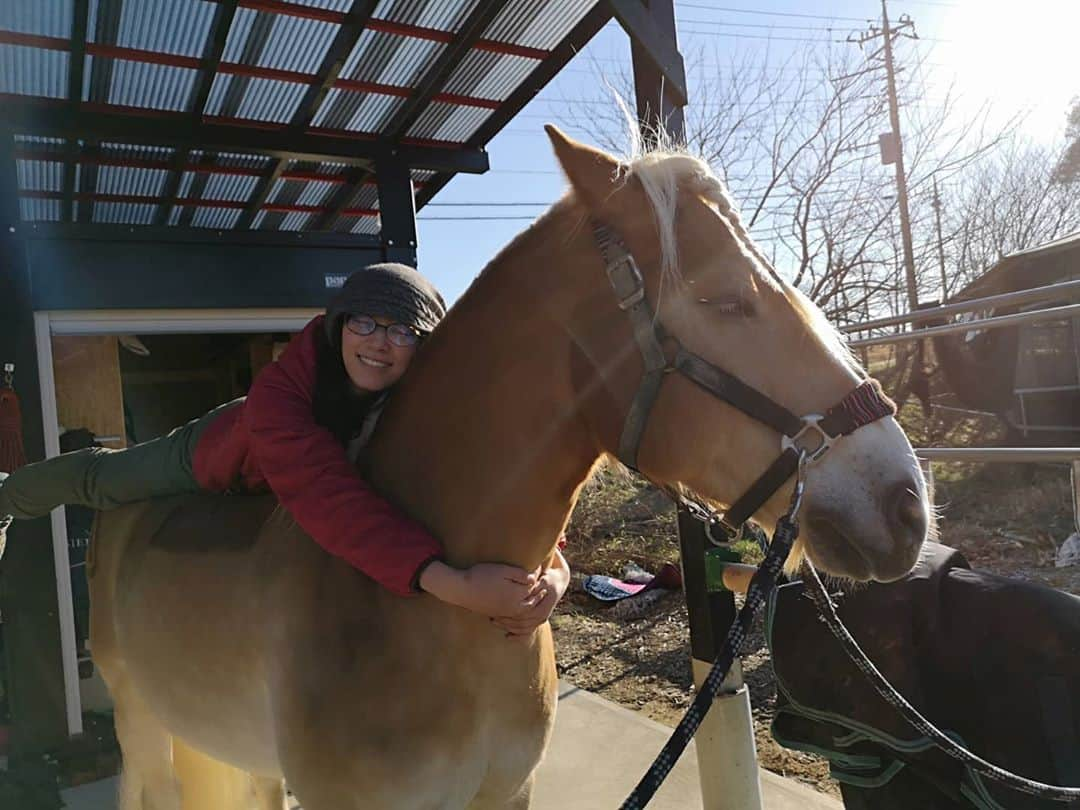 佐藤藍子さんのインスタグラム写真 - (佐藤藍子Instagram)「皆様、お久しぶりです🍀  先日、久しぶりにポカポカ日和だったので 息子ぽっきゅん🐴と、のんびーり陽射しを堪能しました🌞  やはり、生き物は、太陽の恵み無しでは生きられませんね  身体も心も、フンワーリ癒されます🍀  まして、溺愛する息子🐴と一緒なら尚更w  今年は、花粉、、早めの飛散なのかなあっっ  もう少し、マスクいらない生活を堪能させて下さいっっ😆  #haflinger #dressagehaflinger #pony #dressagepony #horse #馬#ポニー#ドレッサージュポニー #ハフリンガー#ドレッサージュハフリンガー #aikosato #佐藤藍子」2月3日 14時27分 - sato_aiko_official