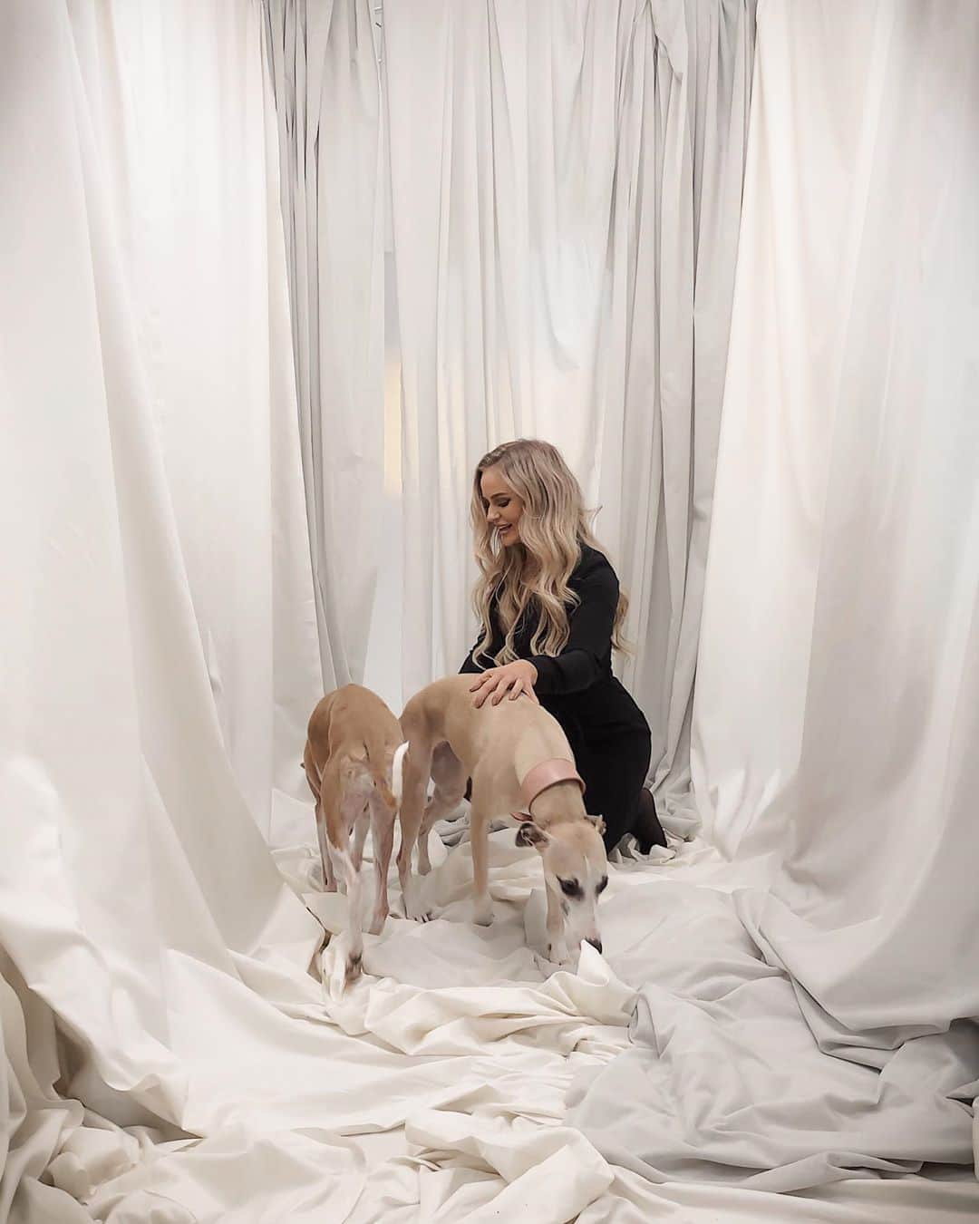 Anna Nyströmのインスタグラム：「When I said “Let’s take a photo with the dogs” this wasn’t exactly what I had in mind 🙈 Some behind the scenes shots for a change, to show you that it takes a few shots to get the perfect one. And sometimes, you don’t even get a good one at all 🤷🏼‍♀️ (Swipe to watch my fail attempts →)」