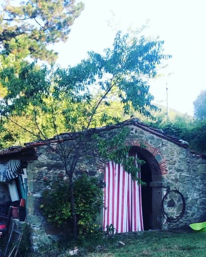 ミッチーのインスタグラム：「Good morning monday おはようございます  #アルプスの少女ハイジ 思い出した笑 #Heidi」