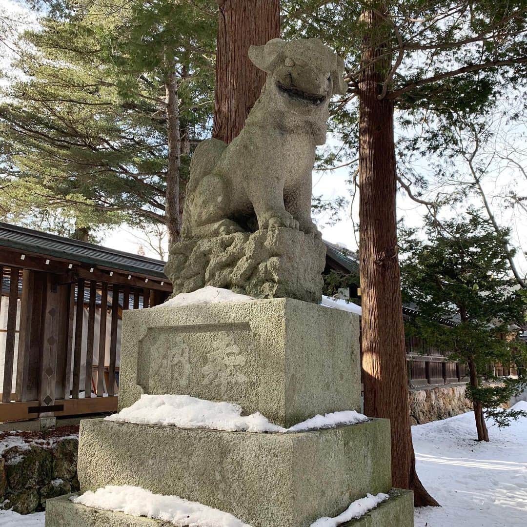 菊地友弘のインスタグラム：「2月に入ったので、北海道神宮にお参りに行ってきました。 1月を無事に過ごせたことへの感謝と、2月も無事に過ごせますように、と祈願してきたんですが、 ふと狛犬が見当たらないことが気になりました。 北1条通り側の鳥居の方にも、円山動物園側の鳥居の方にも、円山公園側の鳥居の方にも見つけられませんでした。 でも、きっとどこかにいるはず！？ となお探してみると、神門の左の島判官像の裏側にそれらしき姿が。 なぜ正門側でなく、こちらなのか。 気になるなあ。  どなたかご存知の方がいらっしゃいましたら、是非教えて下さい。 #北海道神宮 #右側は#獅子像#阿形 で口を開いている #向かって左側は#狛犬像#吽形 で口を閉じている #阿吽 #なぜ正門側ではないのか #htb#イチオシ#菊地友弘」