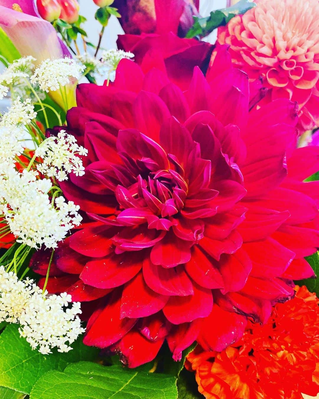 中村祥子さんのインスタグラム写真 - (中村祥子Instagram)「Beautiful flowers 💐💕💕 #thankyousomuch #お花屋さんのよう #それぞれ魅力的な花束#魅力的な色 😆」2月3日 9時55分 - shoko_officialpage